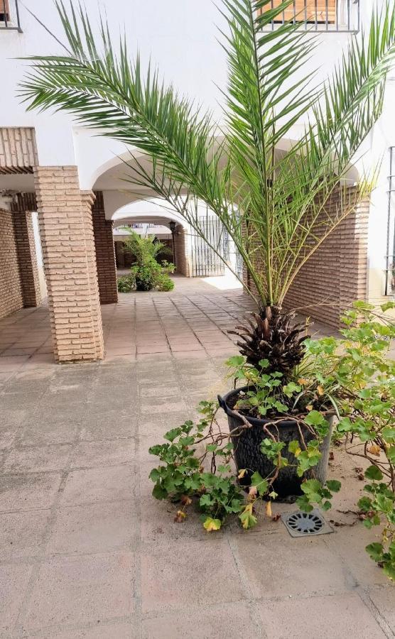 Apartamento Alcazar San Basilio Córdoba Buitenkant foto